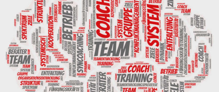 Coaching und Teamentwicklung