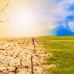 Klimagefühle und wie wir an diesen wachsen können